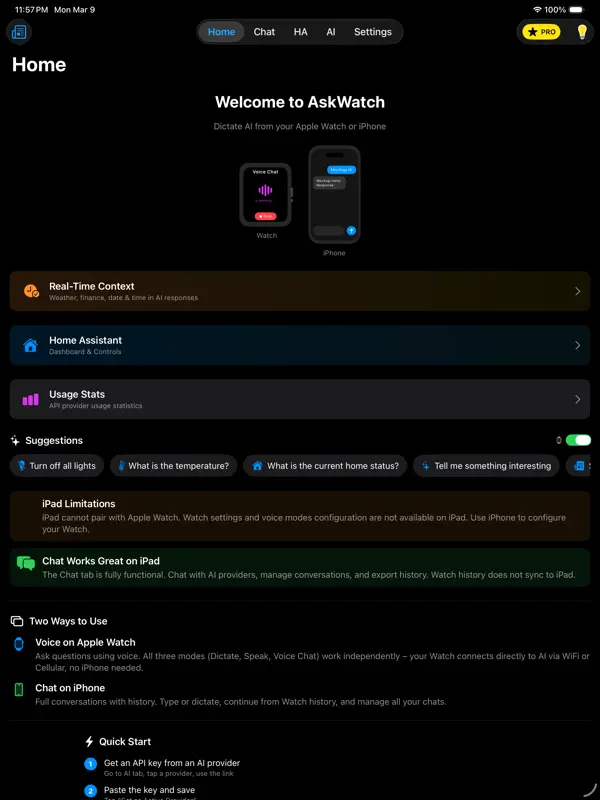 Ask Watch AI — iPad スクリーンショット 1