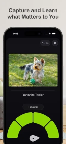 Benkyo Box — iPhone screenshots 1