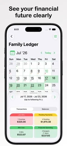 Checkbook - Bills to Budget — iPhone screenshots 2