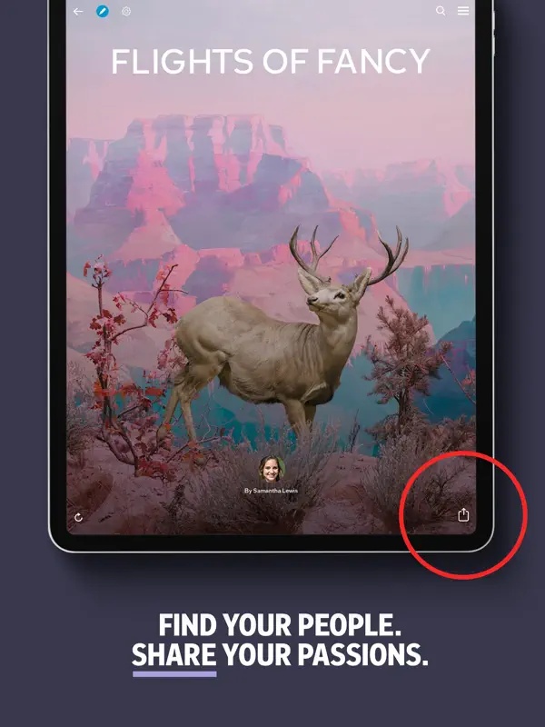 Flipboard — iPad スクリーンショット 5