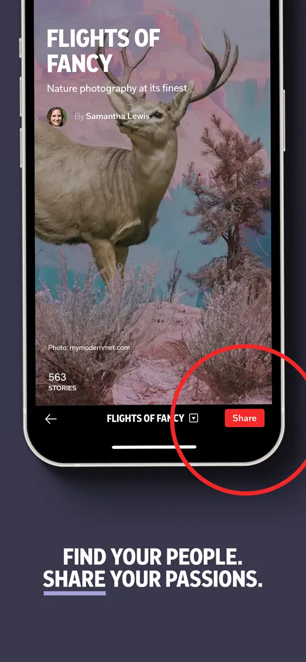 Flipboard — iPhone screenshots 5