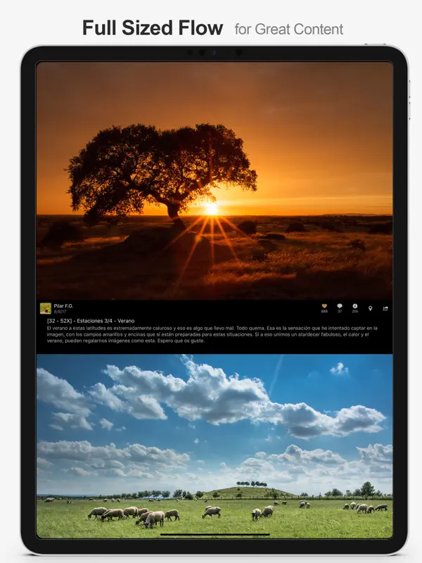MultiTab for Flickr — iPad screenshots 2