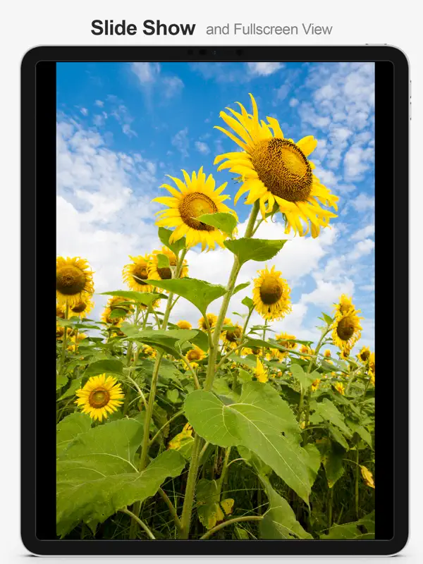 MultiTab for Flickr — iPad screenshots 3
