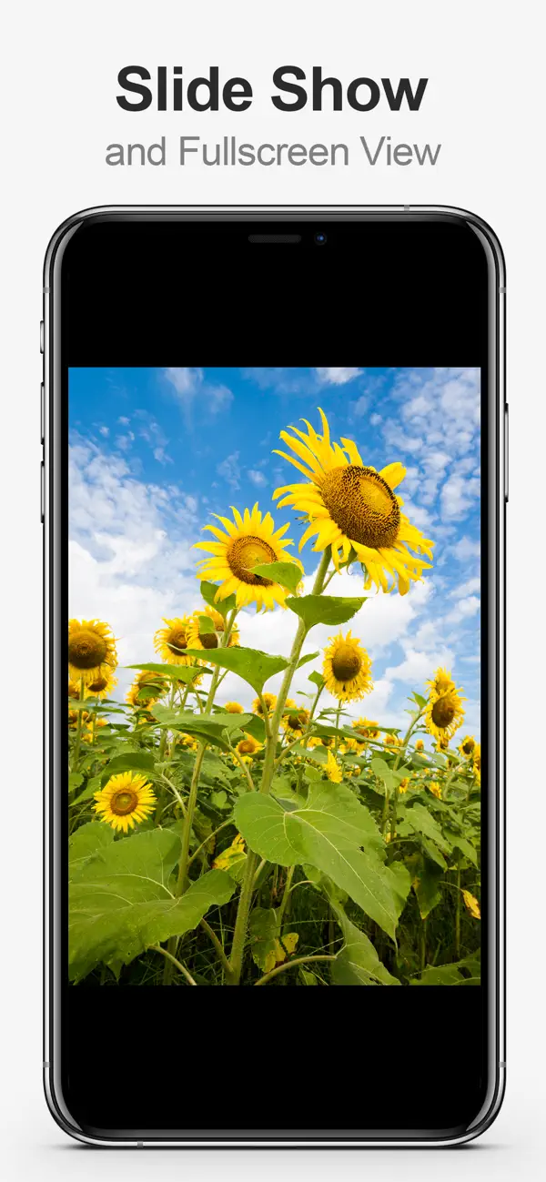 MultiTab for Flickr — iPhone screenshots 3