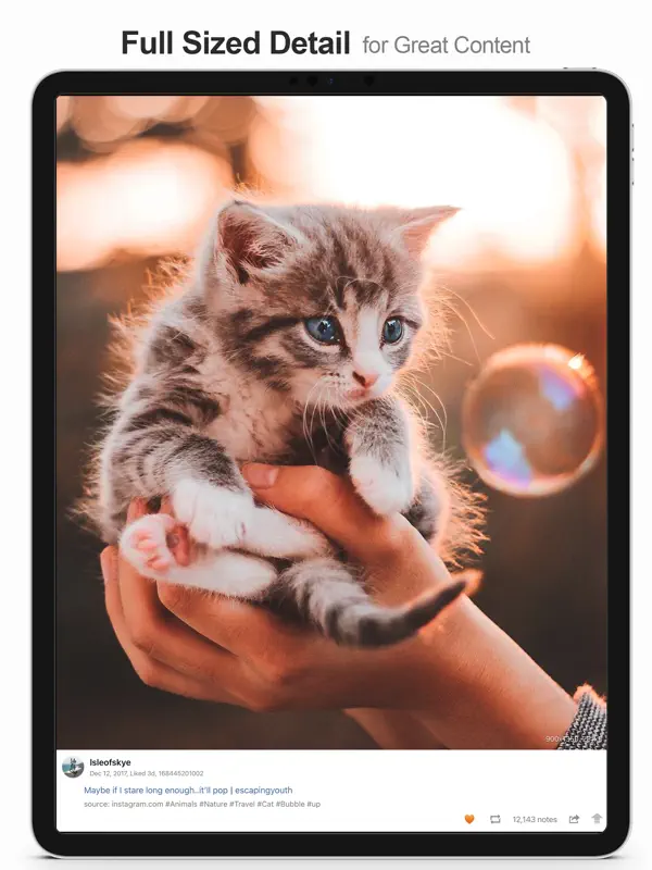 MultiTab for Tumblr — iPad スクリーンショット 3