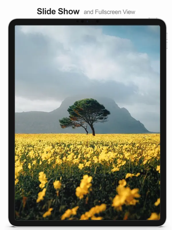 MultiTab for Tumblr — iPad screenshots 7