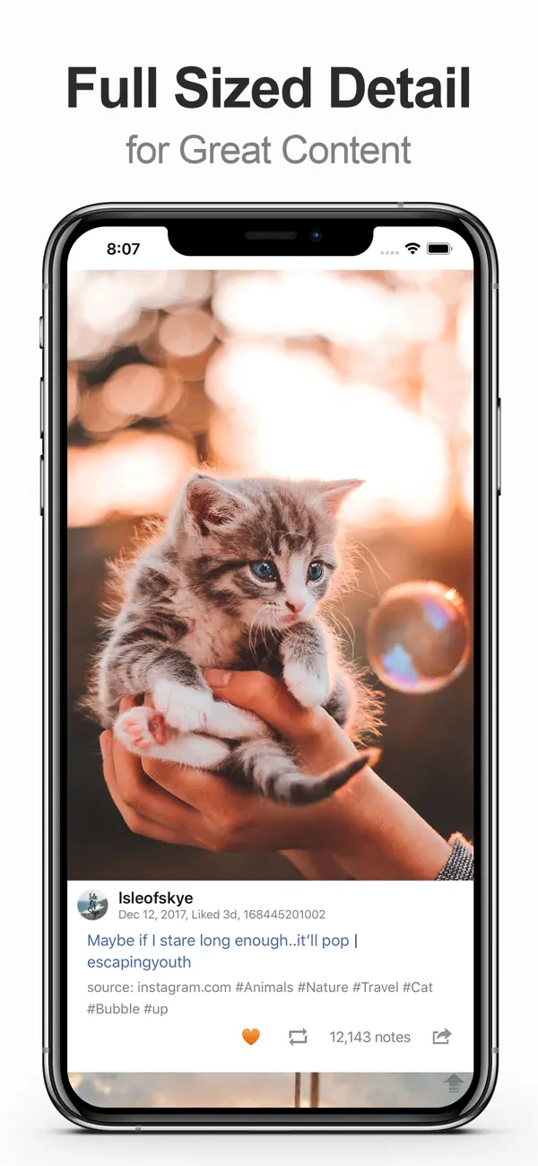 MultiTab for Tumblr — iPhone screenshots 3