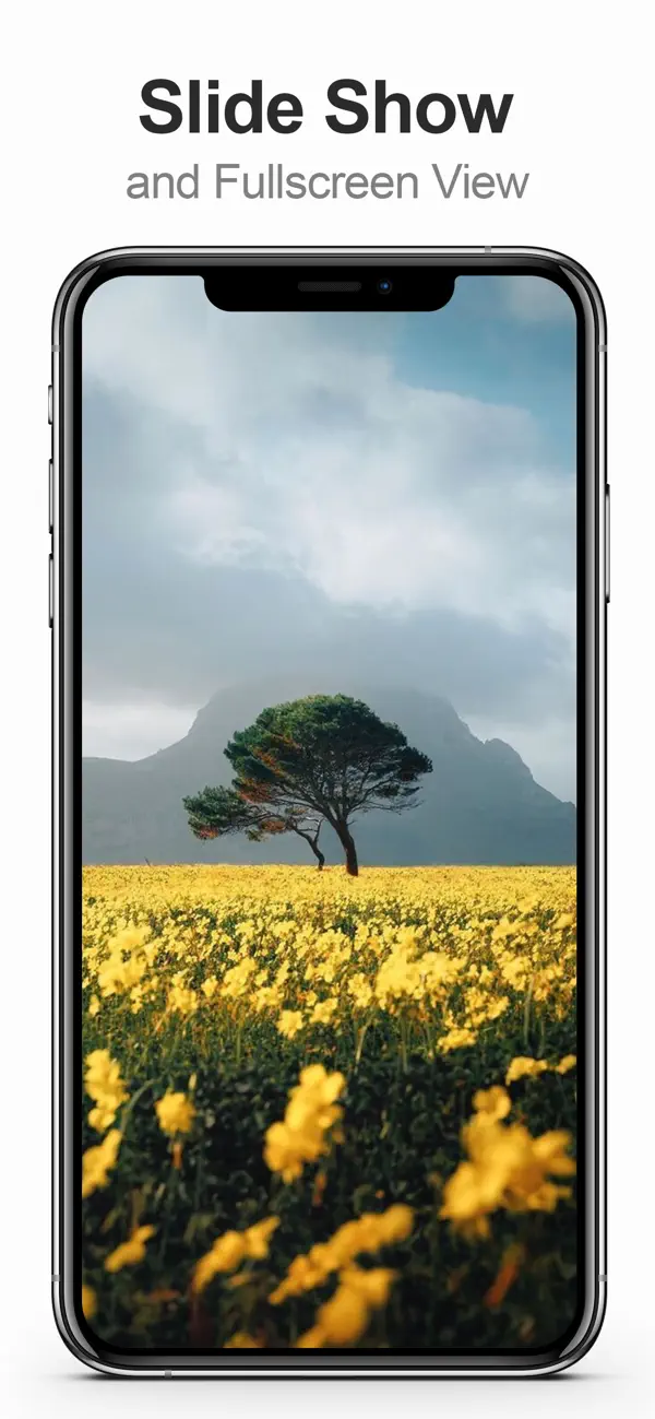 MultiTab for Tumblr — iPhone スクリーンショット 7