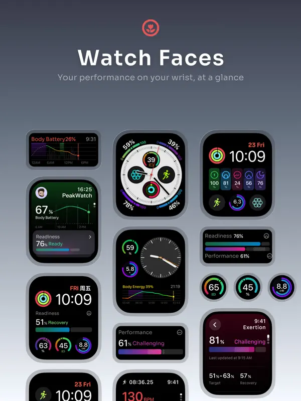 PeakWatch — iPad 截图 10
