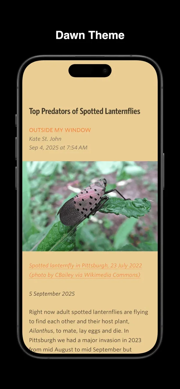 Unread — iPhone screenshots 4