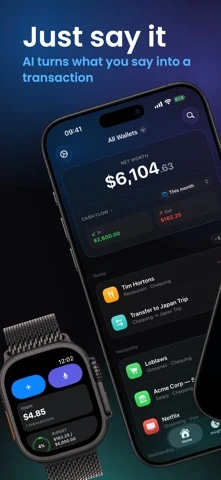 Vesi: AI Expense Tracker — iPhone 스크린샷 1