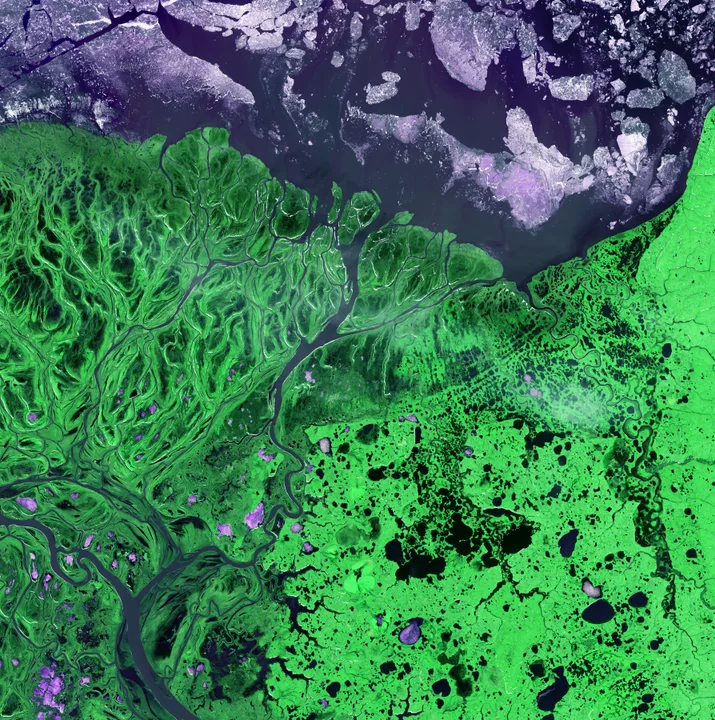 Yukon Delta